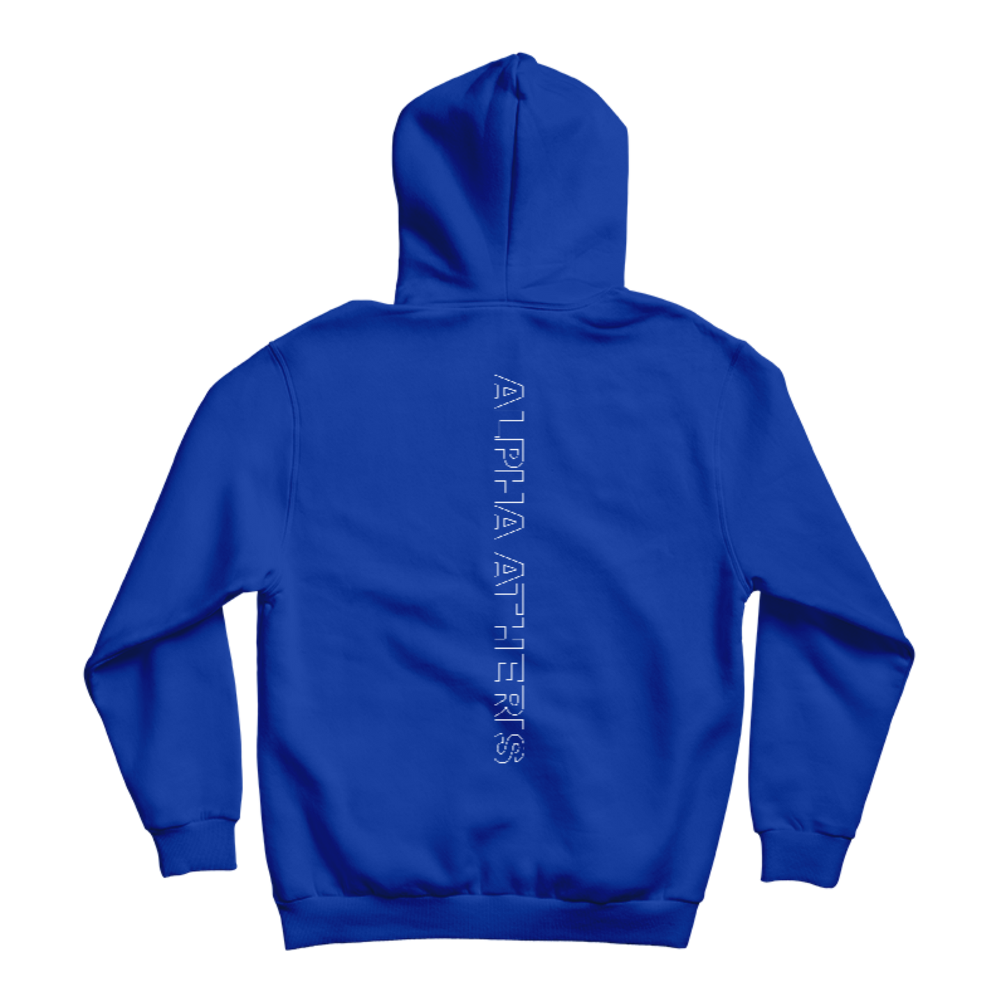 Hoodie Alpha Atheris 2023